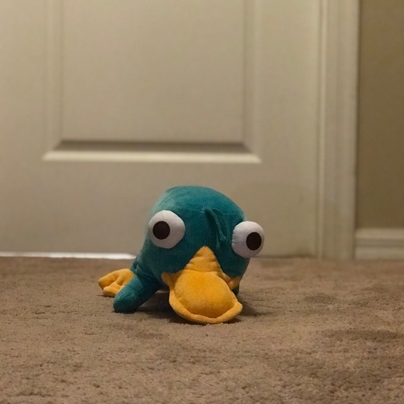 Meet your Posher, Steven - Picture 1 of 1